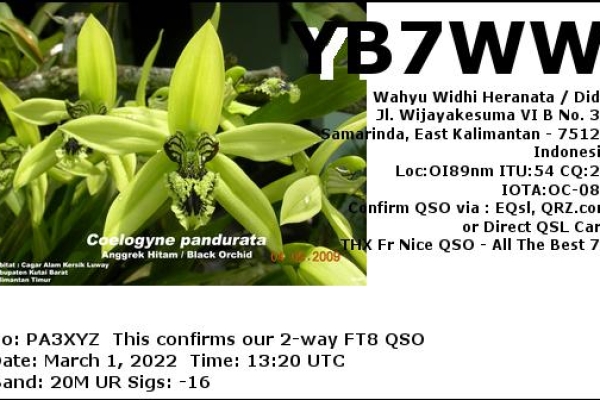 yb7ww-20220301-1320-20m-ft89AE38514-E1E8-57DC-8174-A7C61370F2B0.jpg